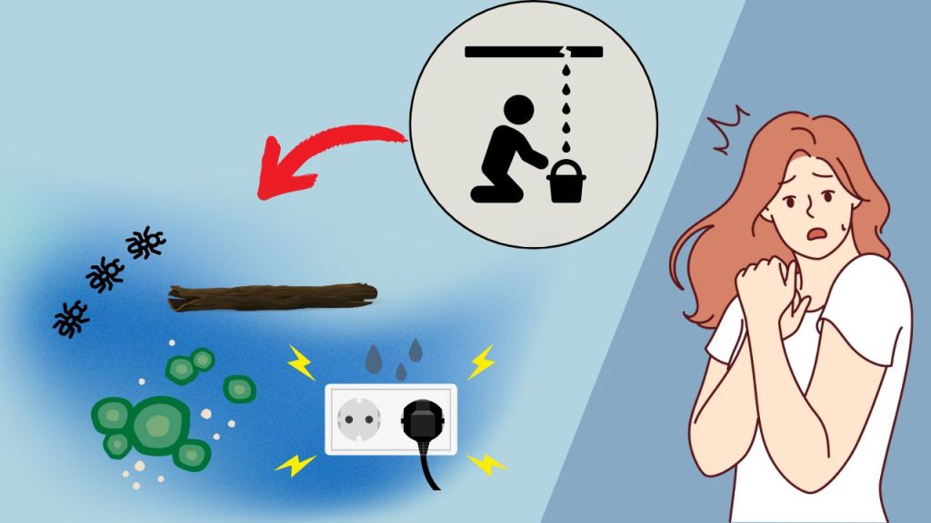 雨漏りの怖さ