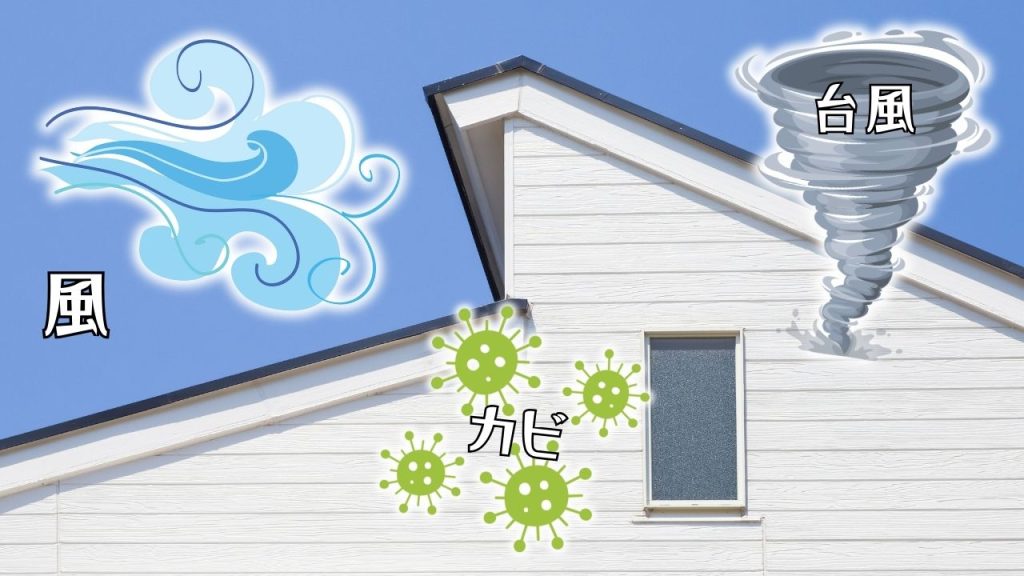 玄界灘の気候が外壁・屋根に与える悪影響とは？主な劣化内容とは？